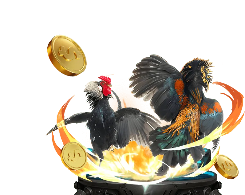 Hoàn trả hàng ngày cho Slot Games